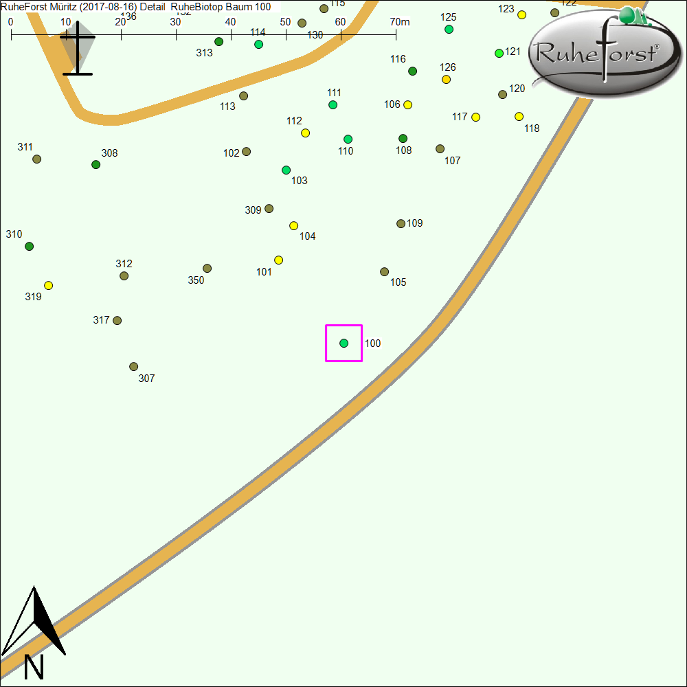 Detailkarte zu Baum 100