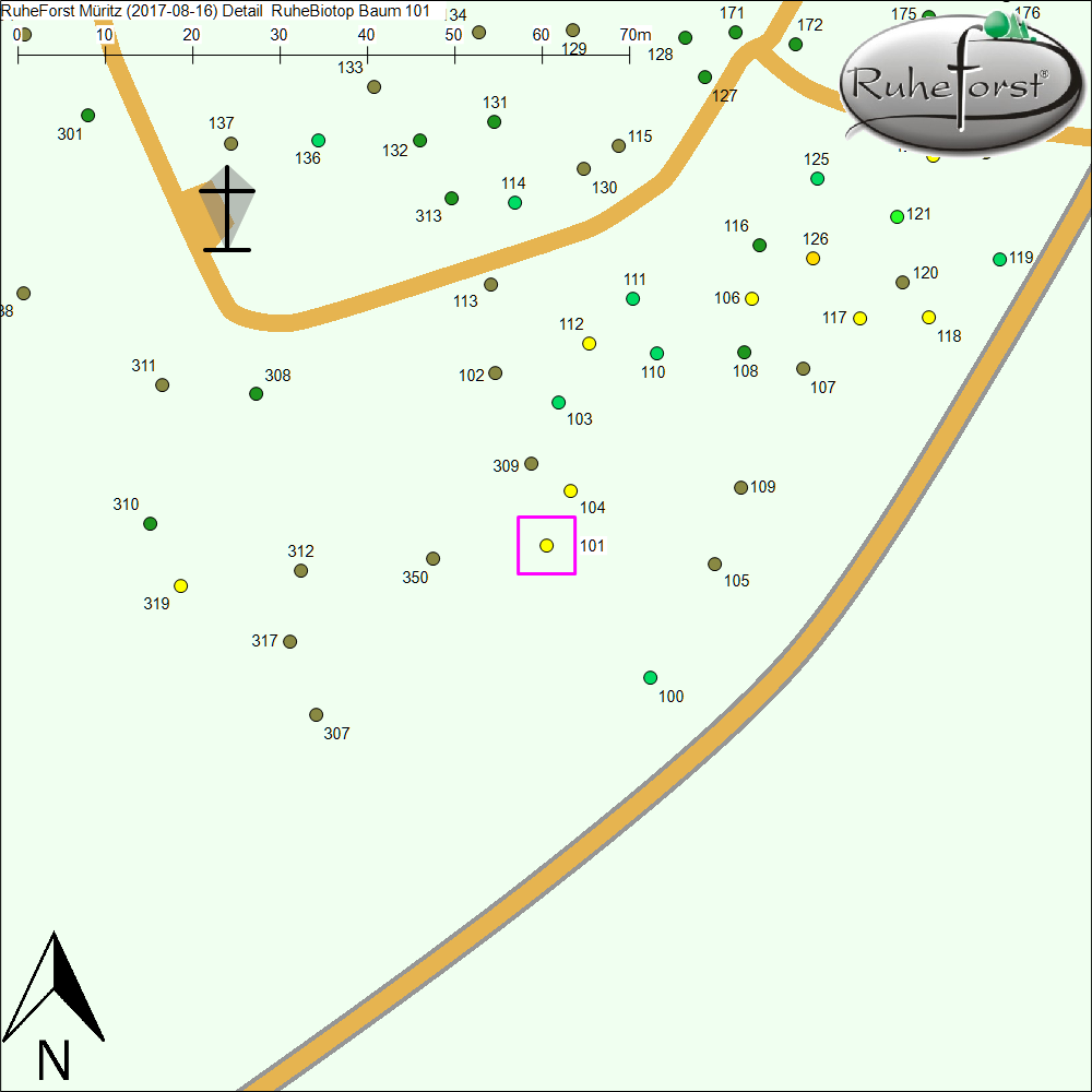 Detailkarte zu Baum 101