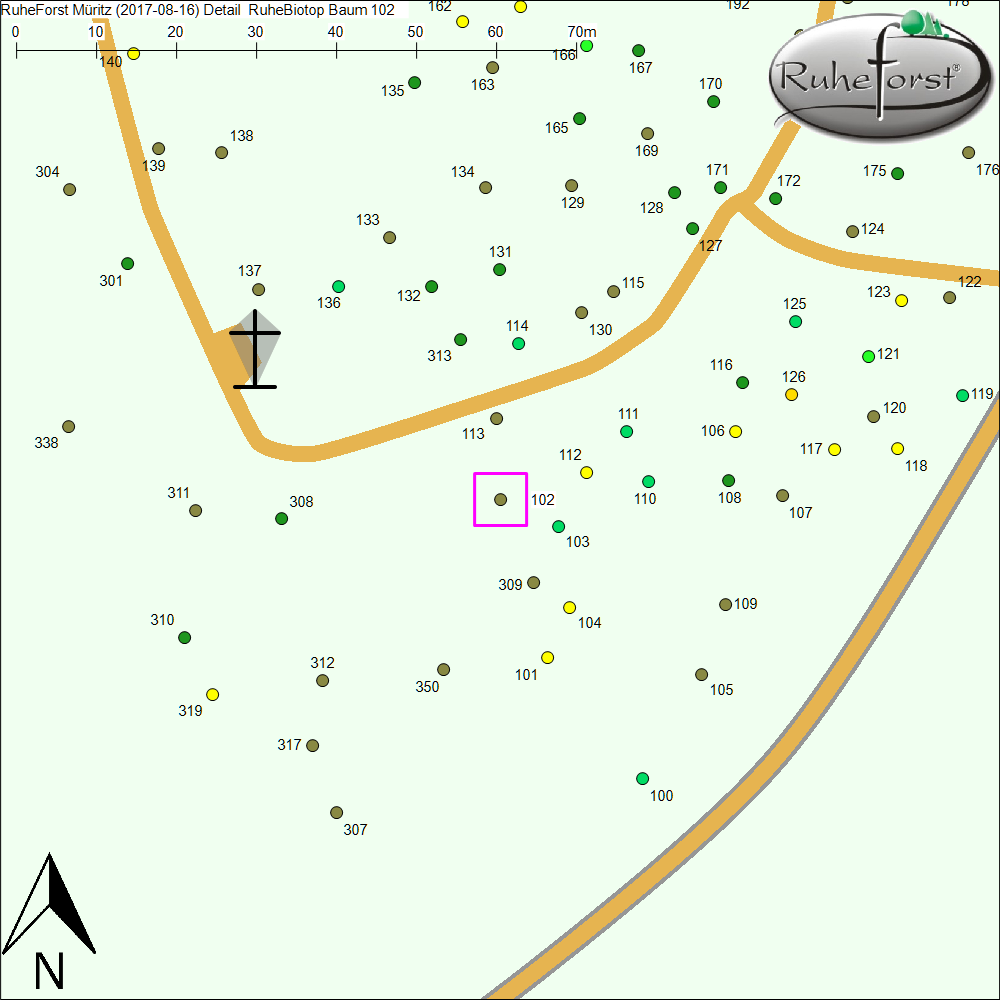 Detailkarte zu Baum 102