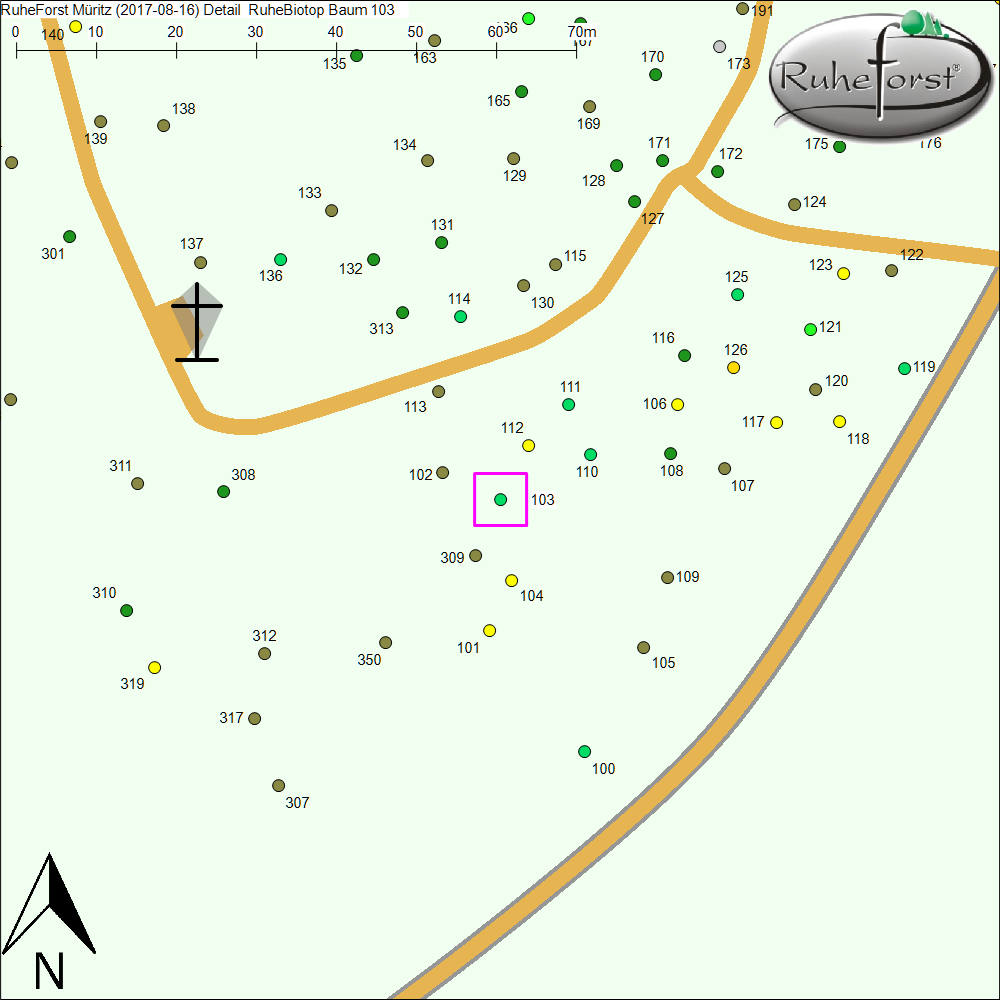 Detailkarte zu Baum 103