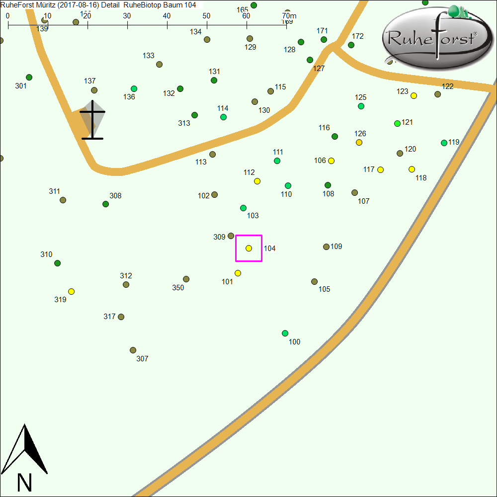 Detailkarte zu Baum 104