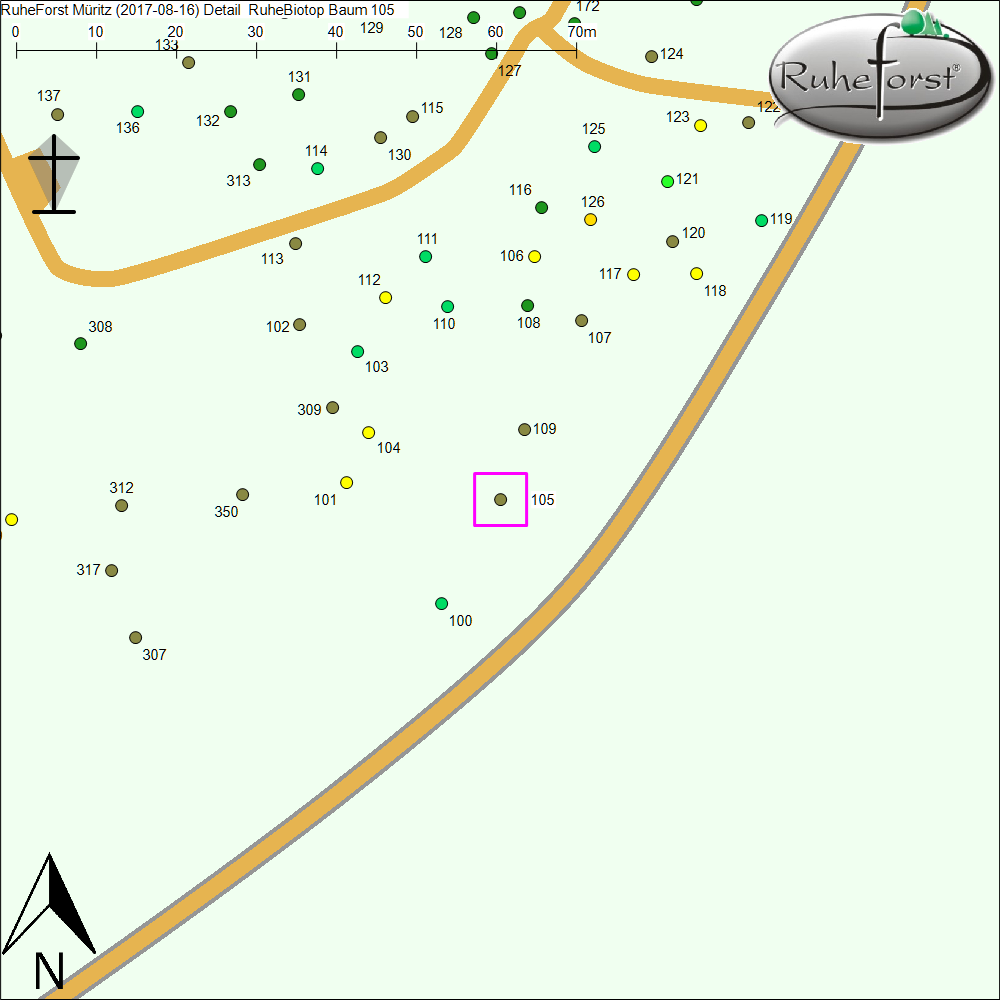 Detailkarte zu Baum 105