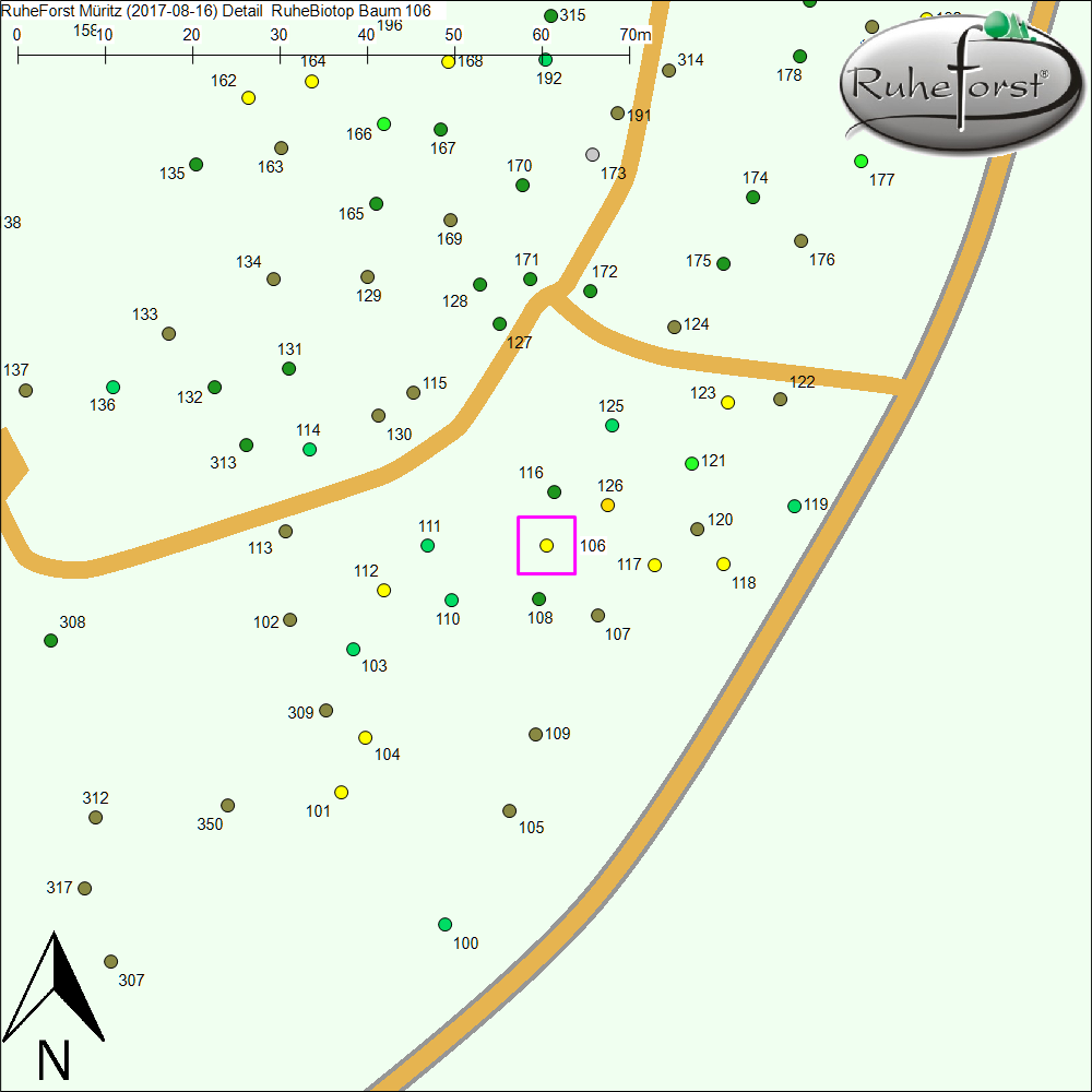 Detailkarte zu Baum 106