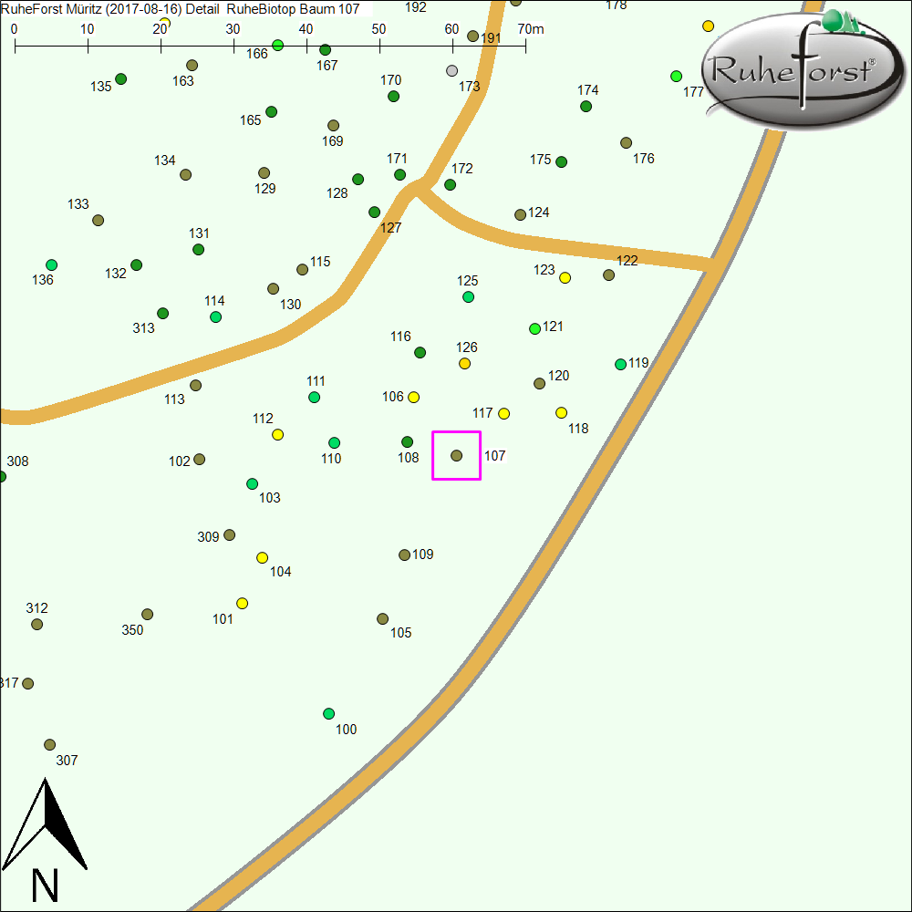Detailkarte zu Baum 107