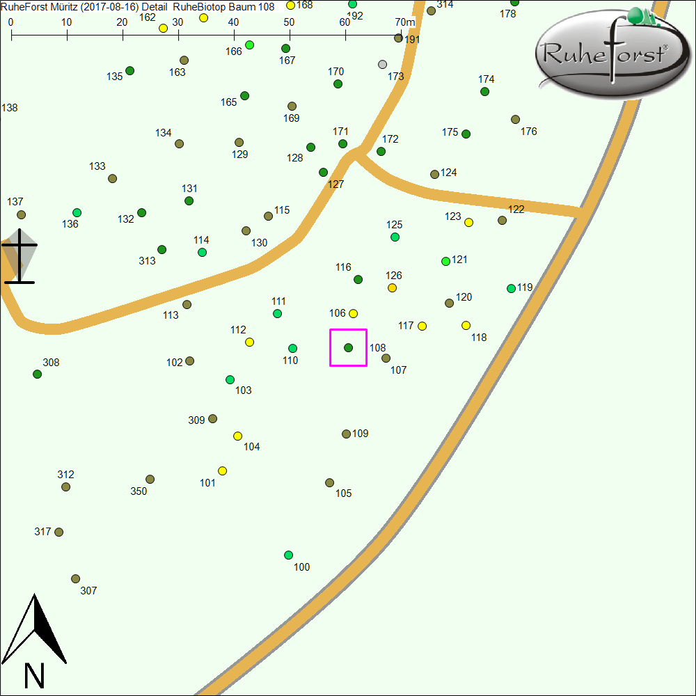 Detailkarte zu Baum 108