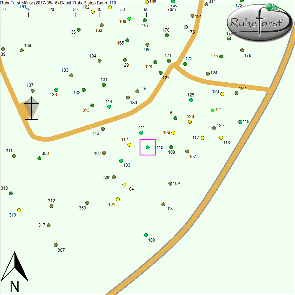 Detailkarte zu Baum 110