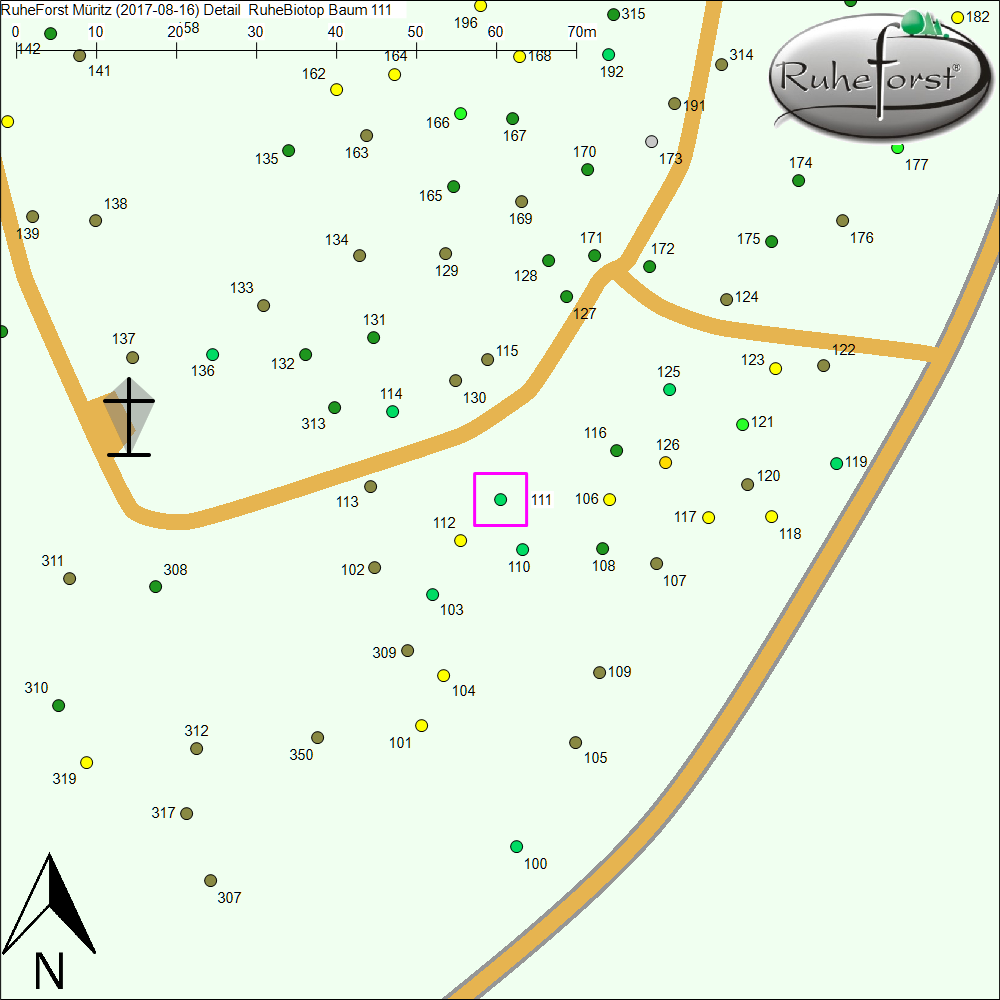 Detailkarte zu Baum 111