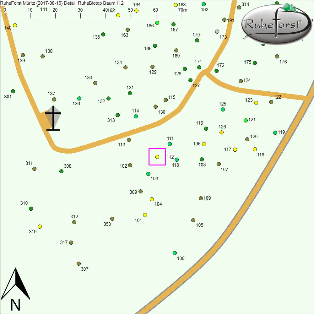 Detailkarte zu Baum 112