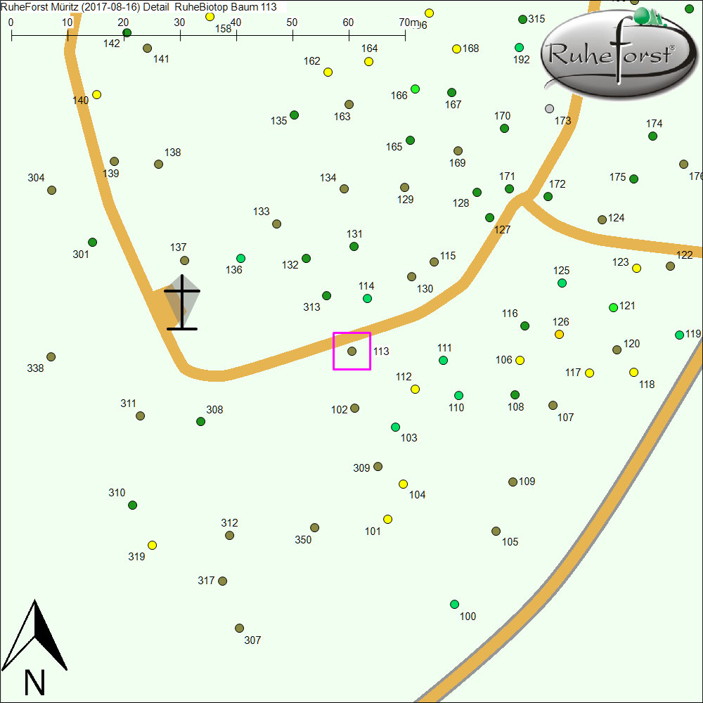Detailkarte zu Baum 113