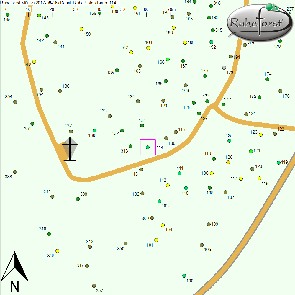 Detailkarte zu Baum 114