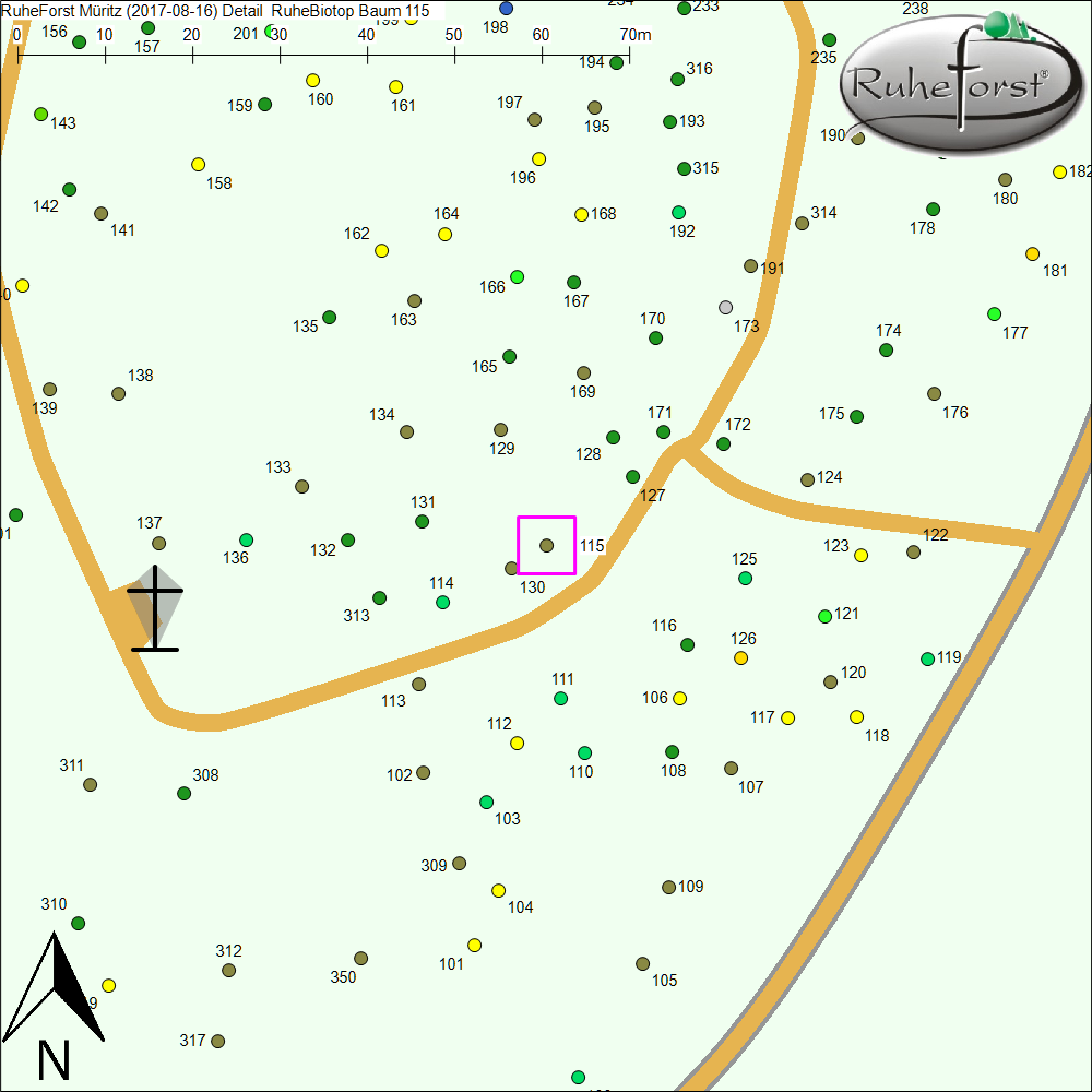 Detailkarte zu Baum 115