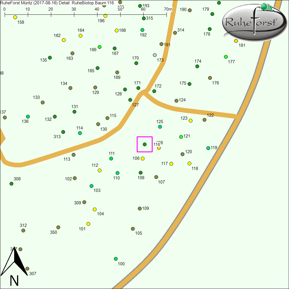 Detailkarte zu Baum 116