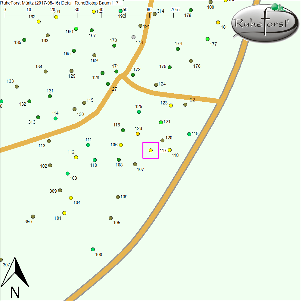 Detailkarte zu Baum 117