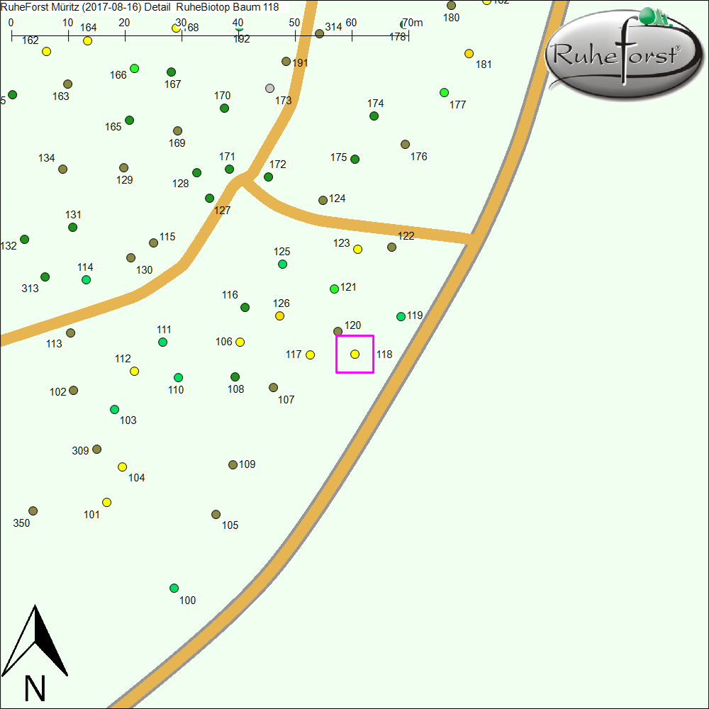 Detailkarte zu Baum 118