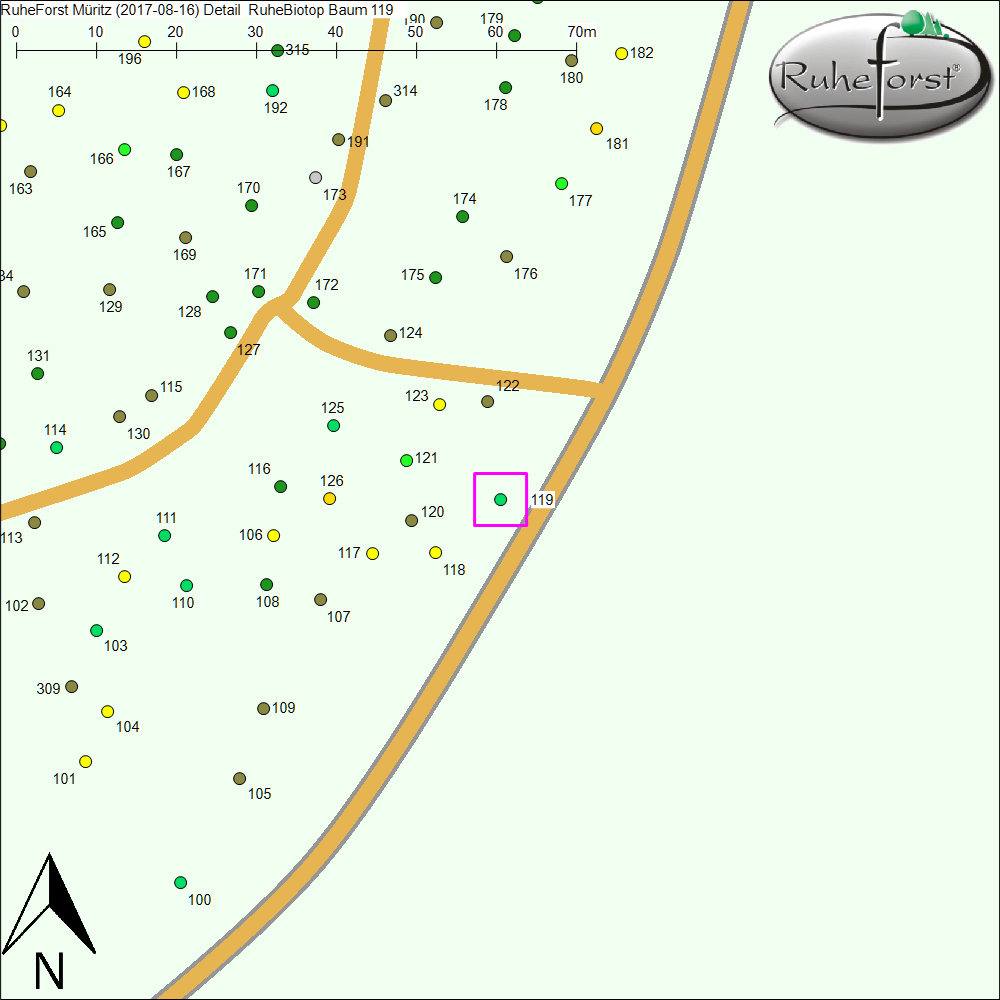 Detailkarte zu Baum 119