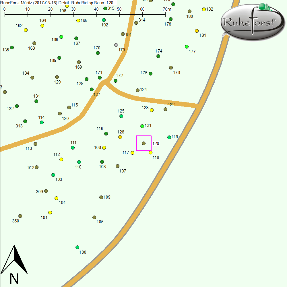 Detailkarte zu Baum 120