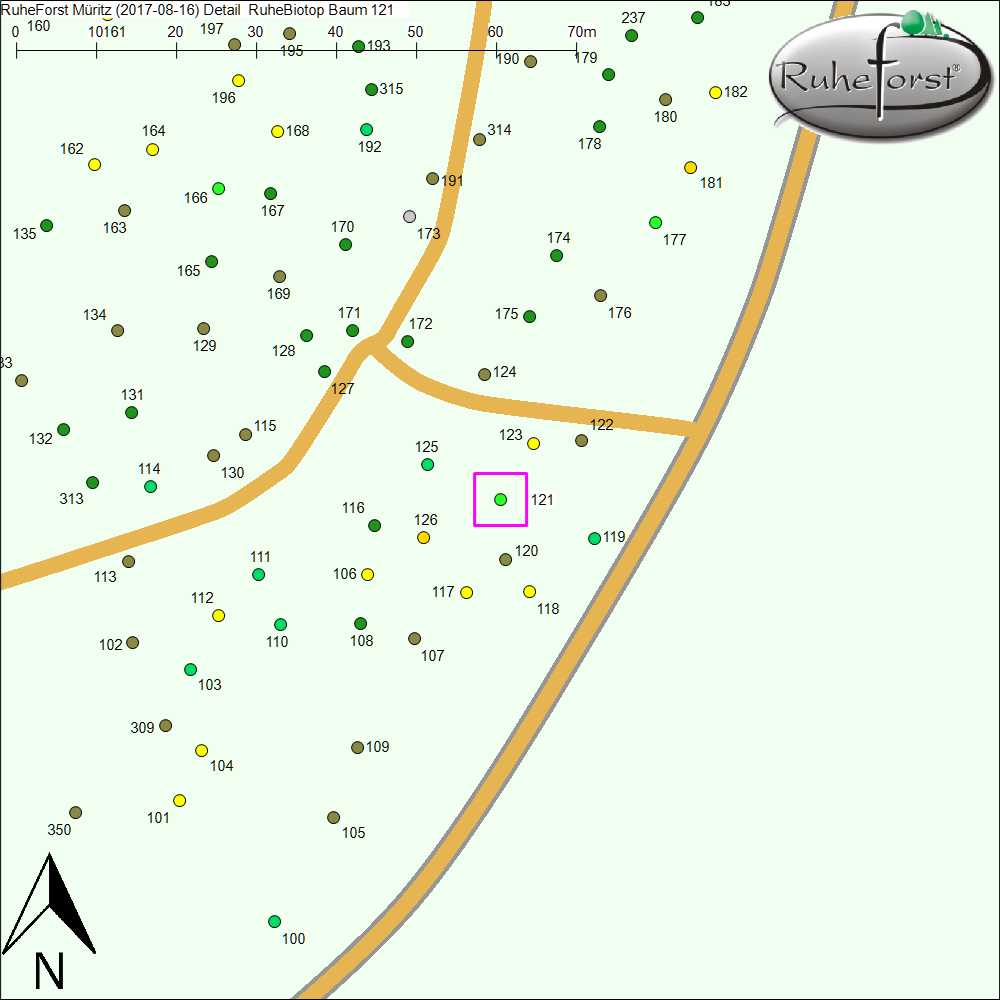 Detailkarte zu Baum 121