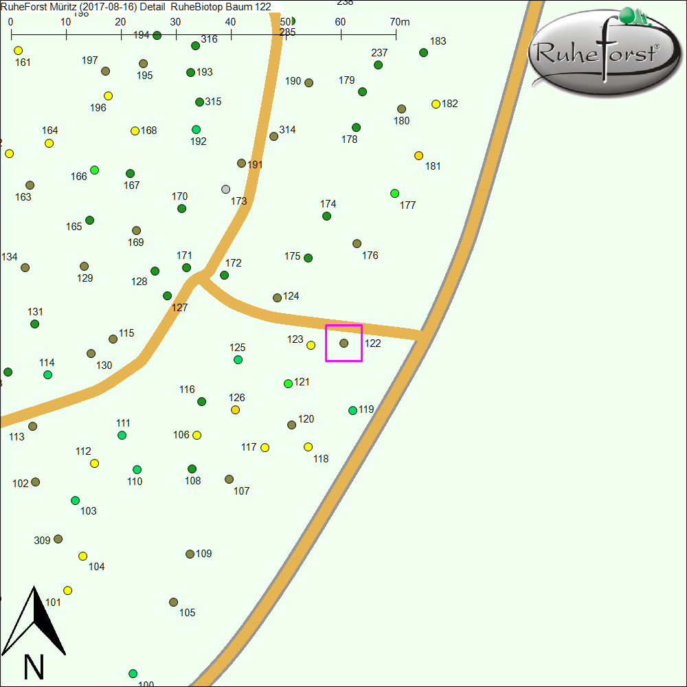 Detailkarte zu Baum 122