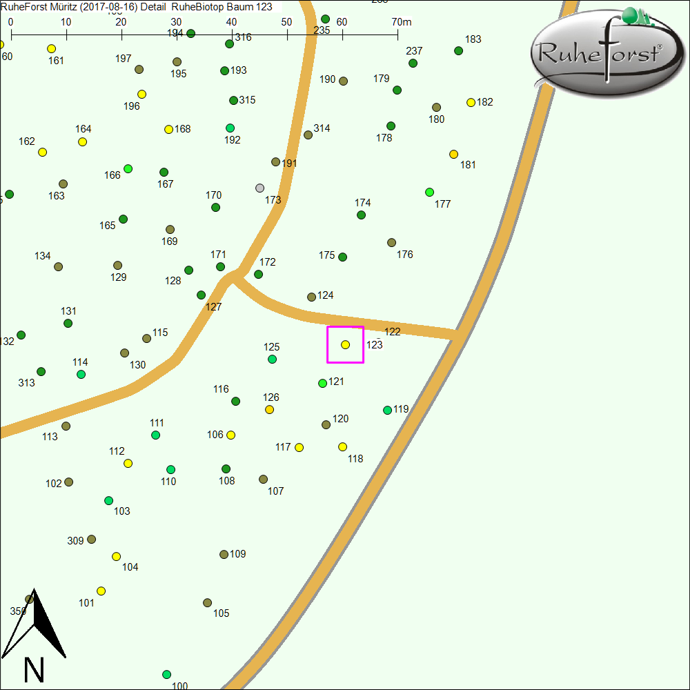 Detailkarte zu Baum 123