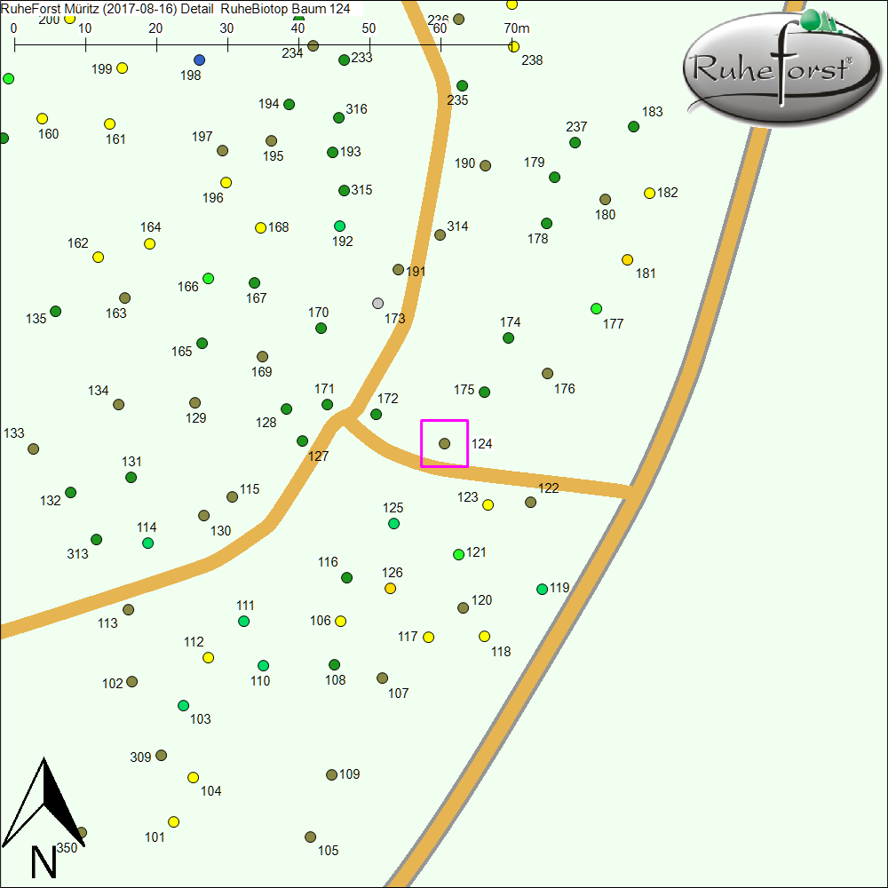 Detailkarte zu Baum 124