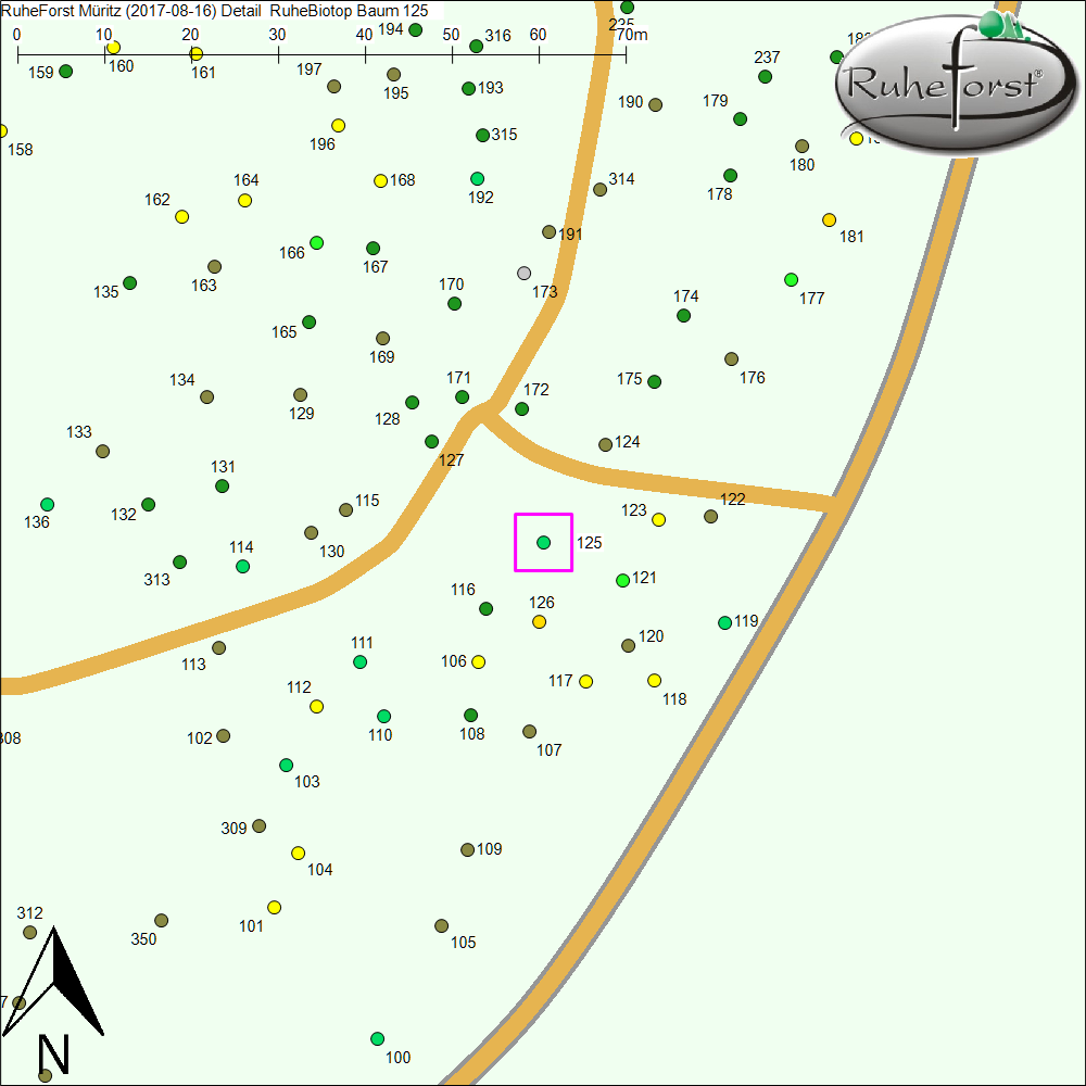 Detailkarte zu Baum 125