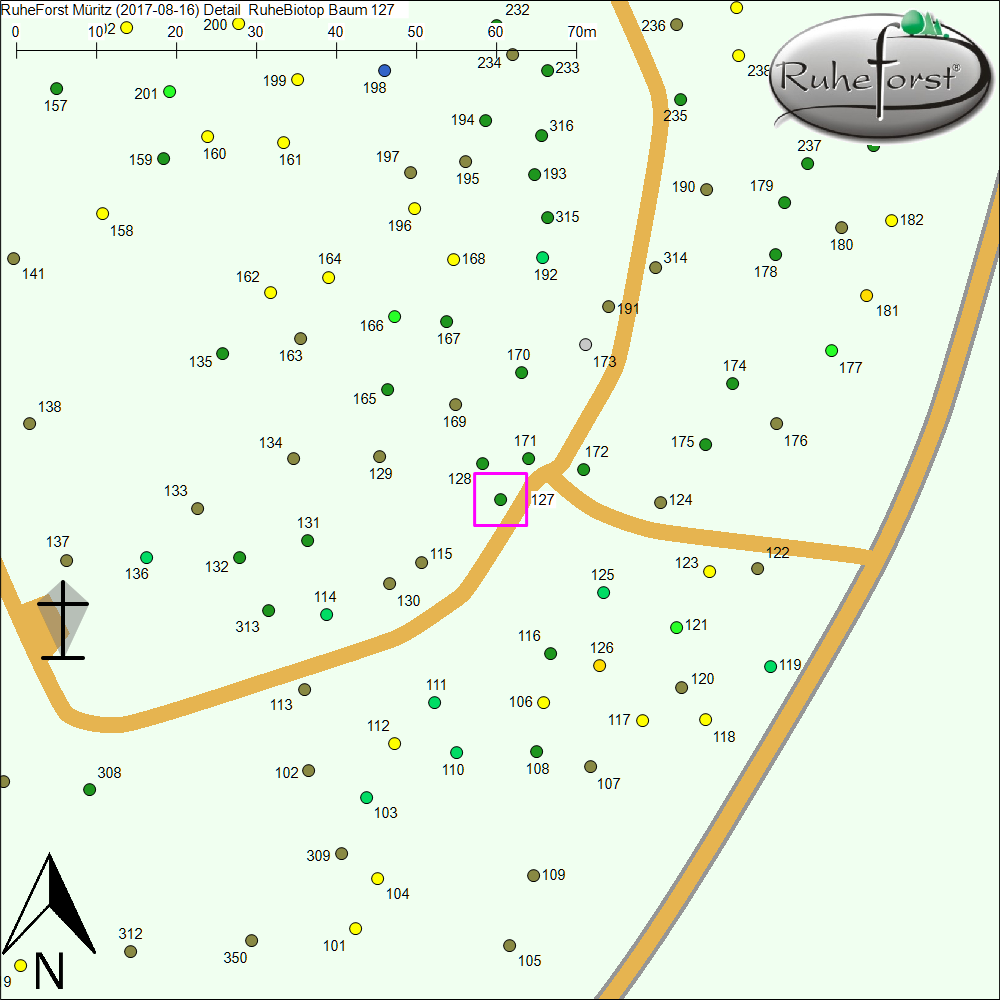 Detailkarte zu Baum 127