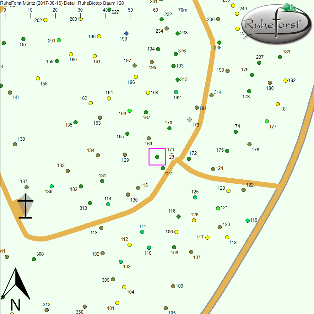 Detailkarte zu Baum 128