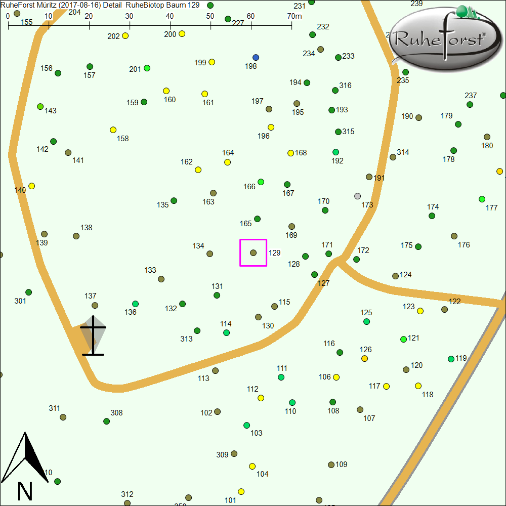 Detailkarte zu Baum 129
