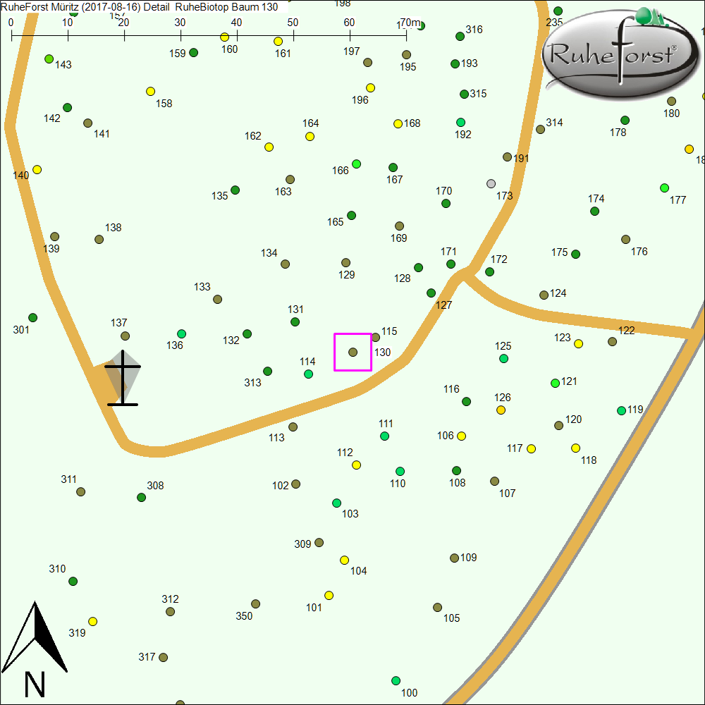 Detailkarte zu Baum 130