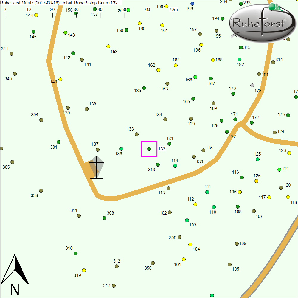 Detailkarte zu Baum 132