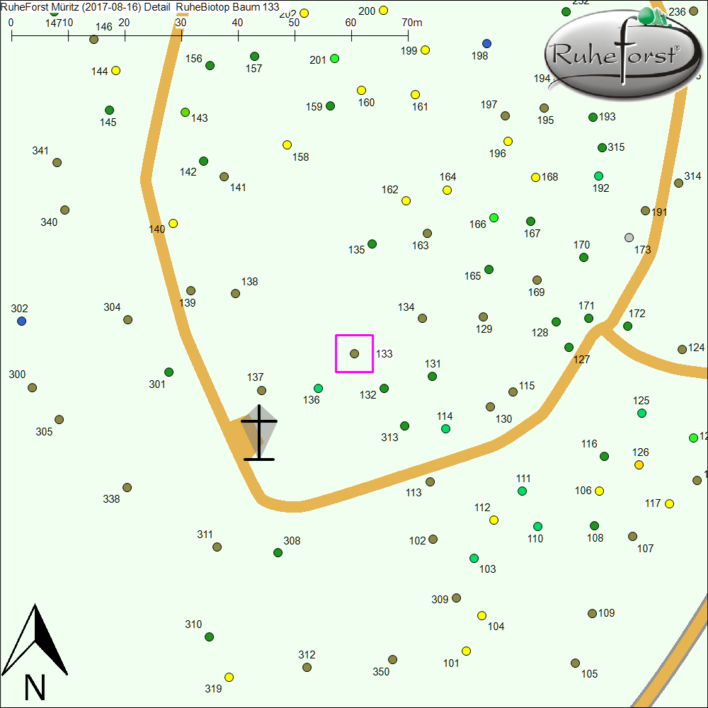 Detailkarte zu Baum 133