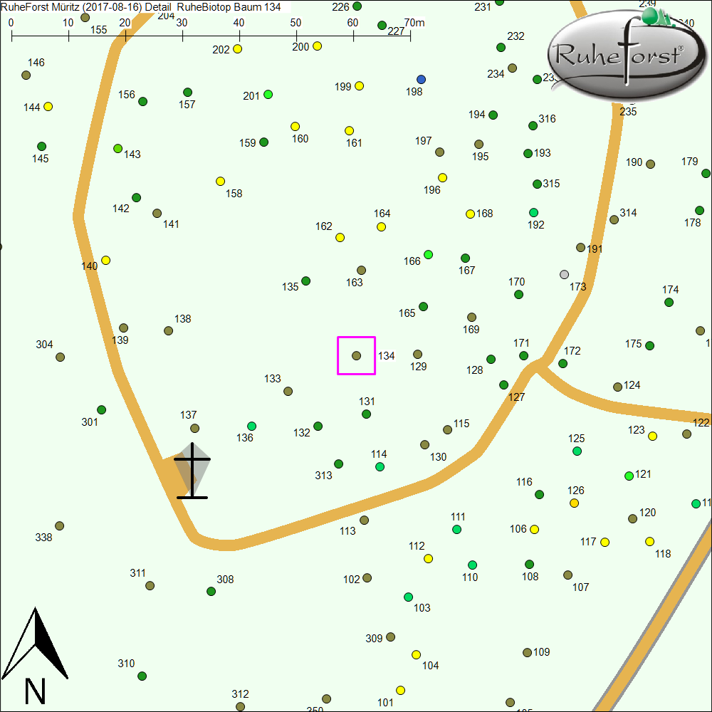 Detailkarte zu Baum 134