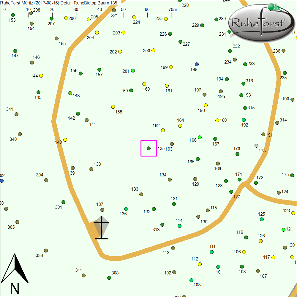 Detailkarte zu Baum 135