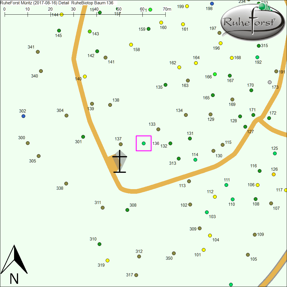 Detailkarte zu Baum 136
