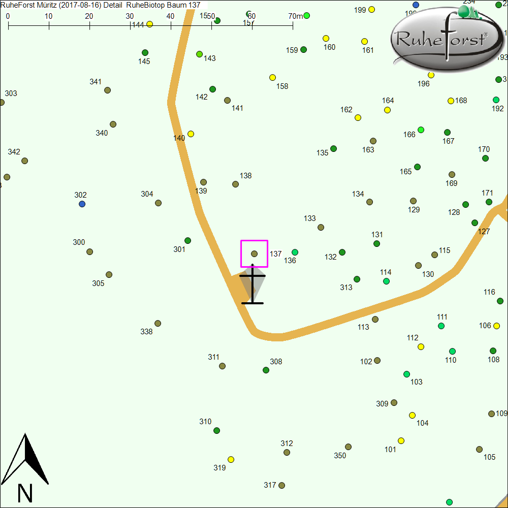 Detailkarte zu Baum 137