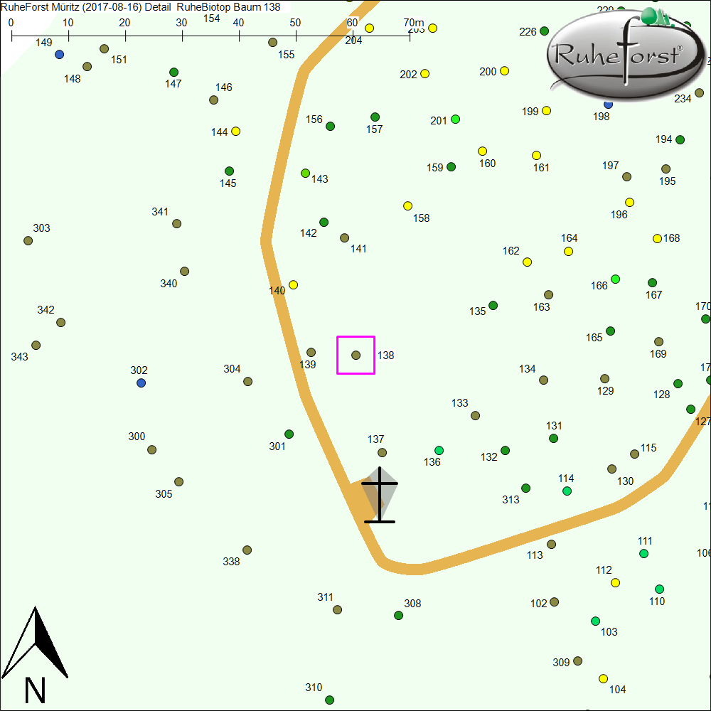 Detailkarte zu Baum 138