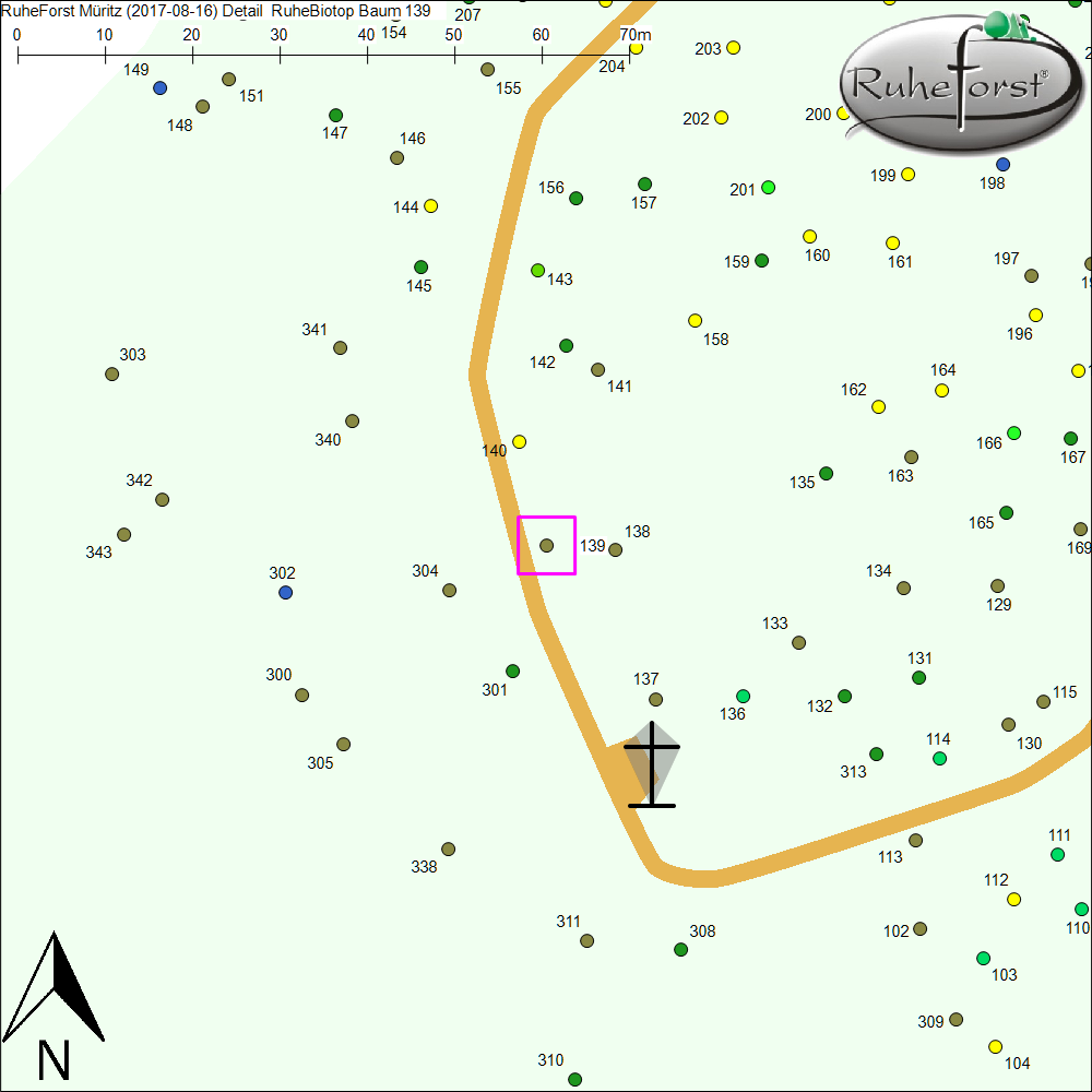 Detailkarte zu Baum 139