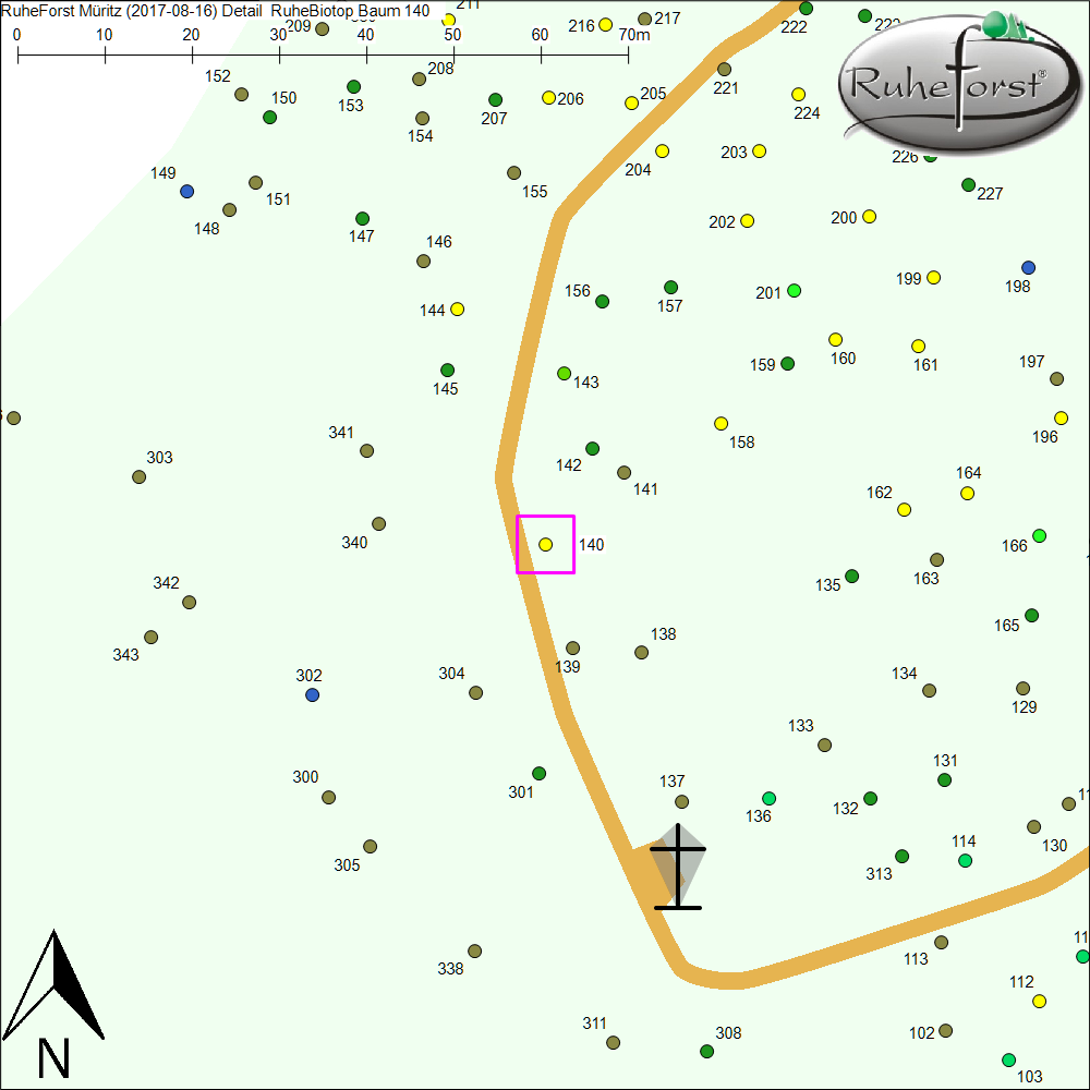 Detailkarte zu Baum 140