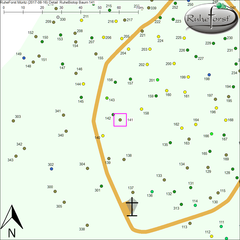 Detailkarte zu Baum 141