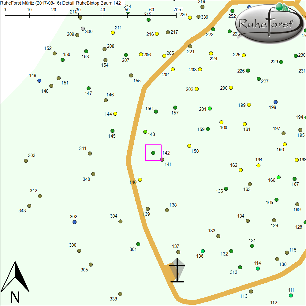 Detailkarte zu Baum 142