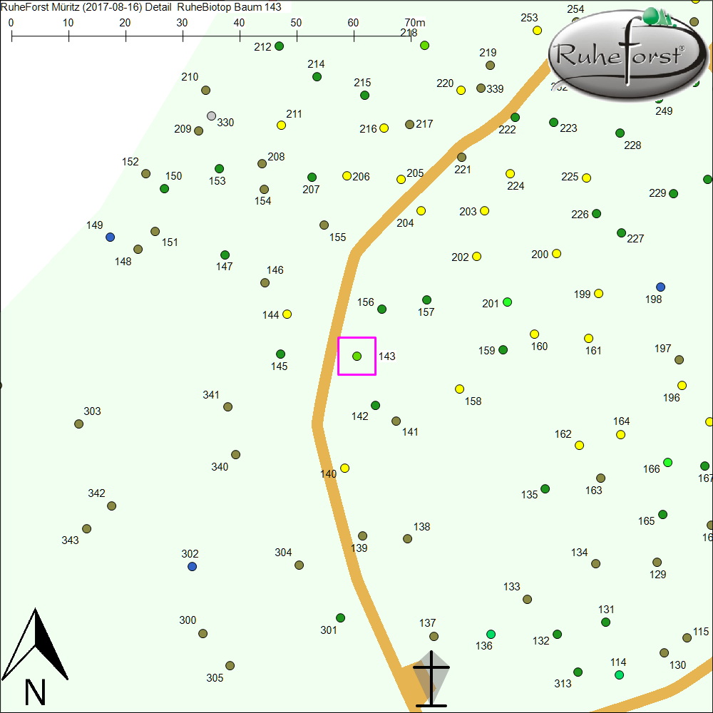 Detailkarte zu Baum 143