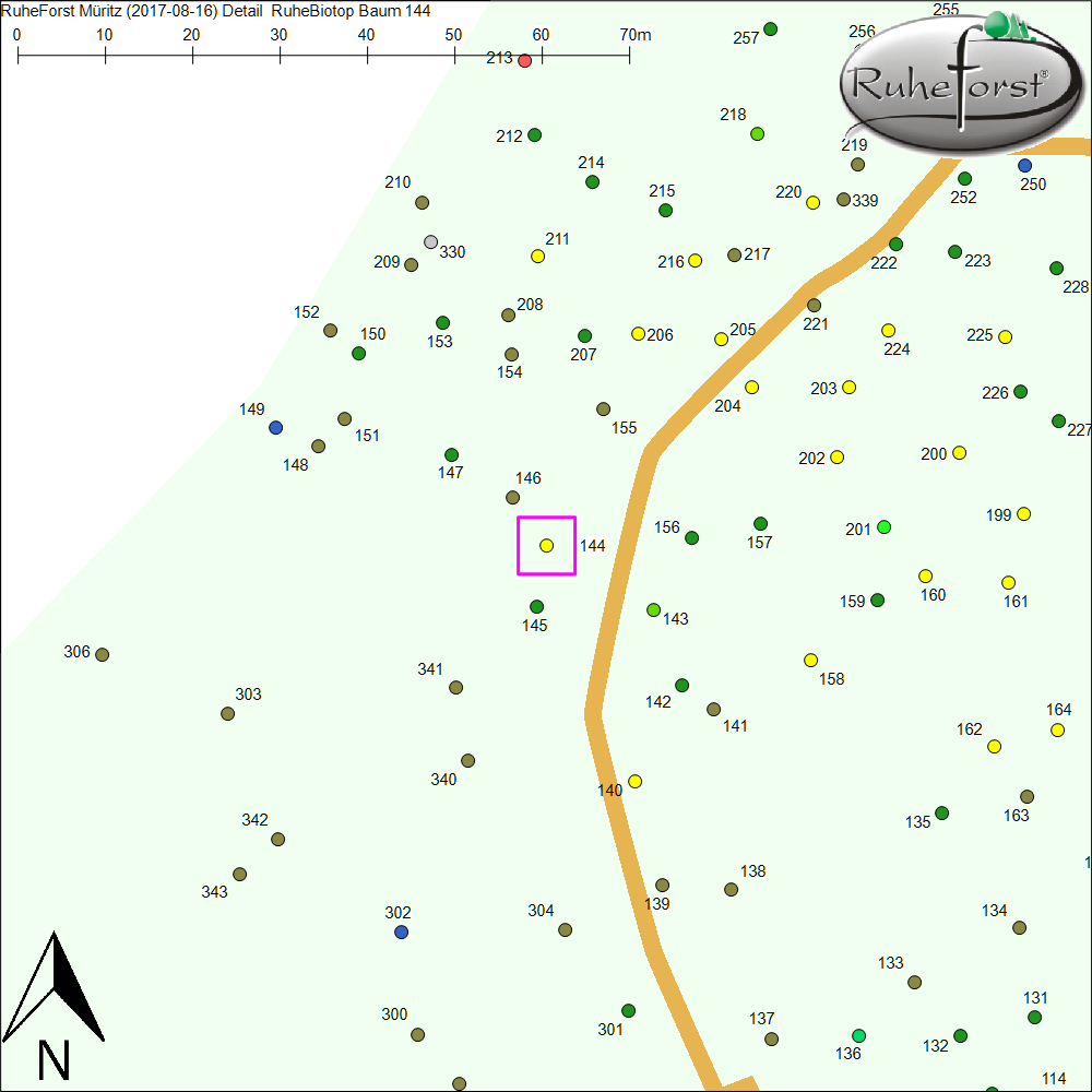 Detailkarte zu Baum 144