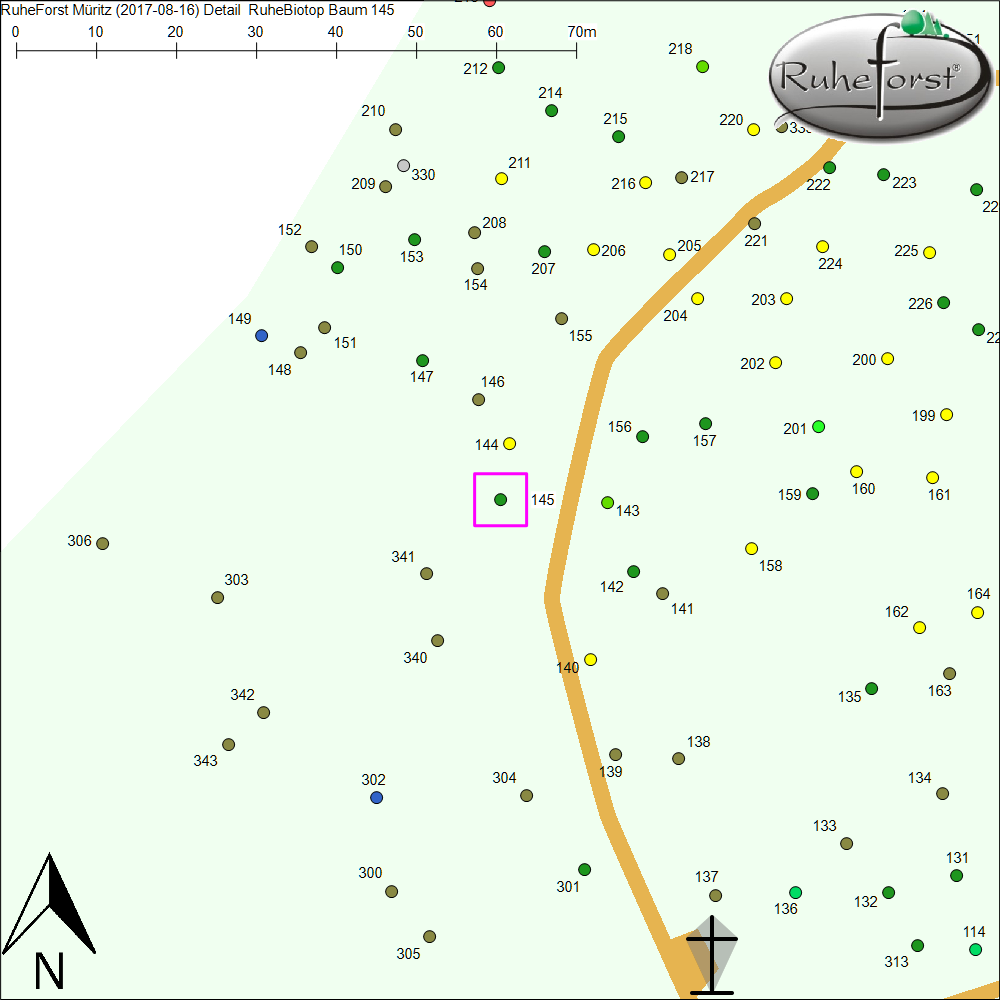 Detailkarte zu Baum 145