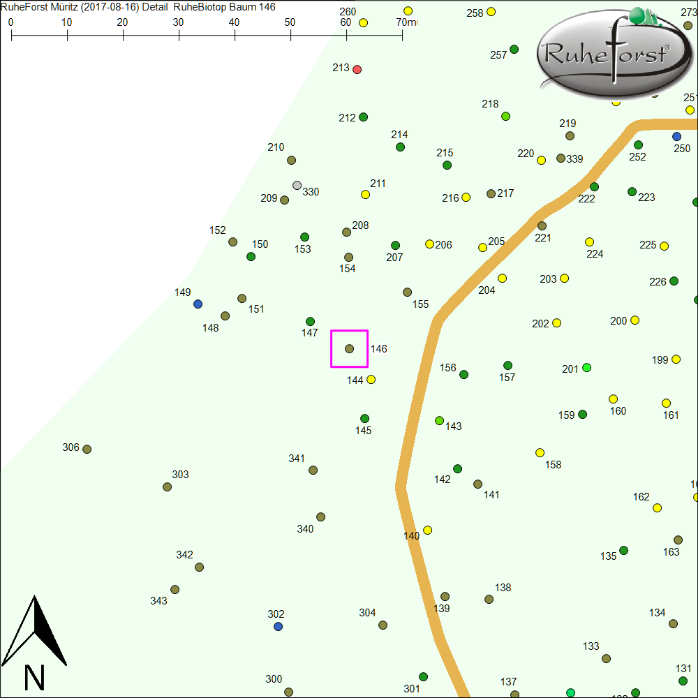 Detailkarte zu Baum 146