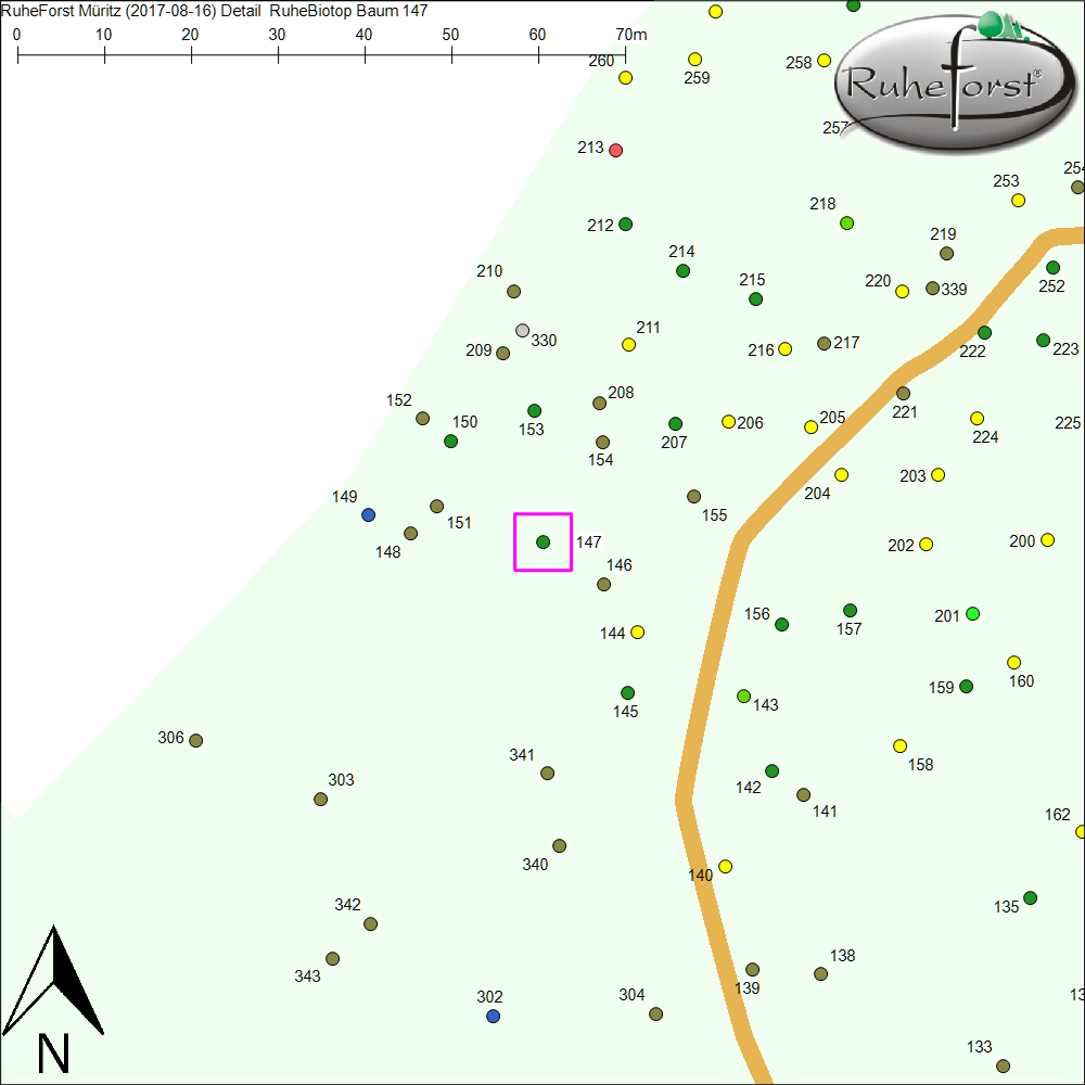 Detailkarte zu Baum 147