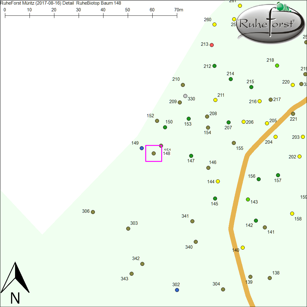 Detailkarte zu Baum 148