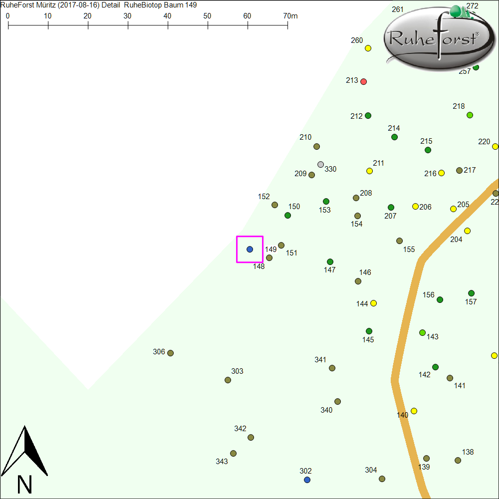 Detailkarte zu Baum 149