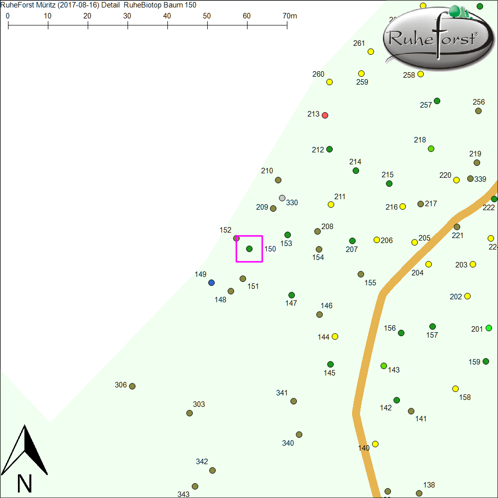 Detailkarte zu Baum 150