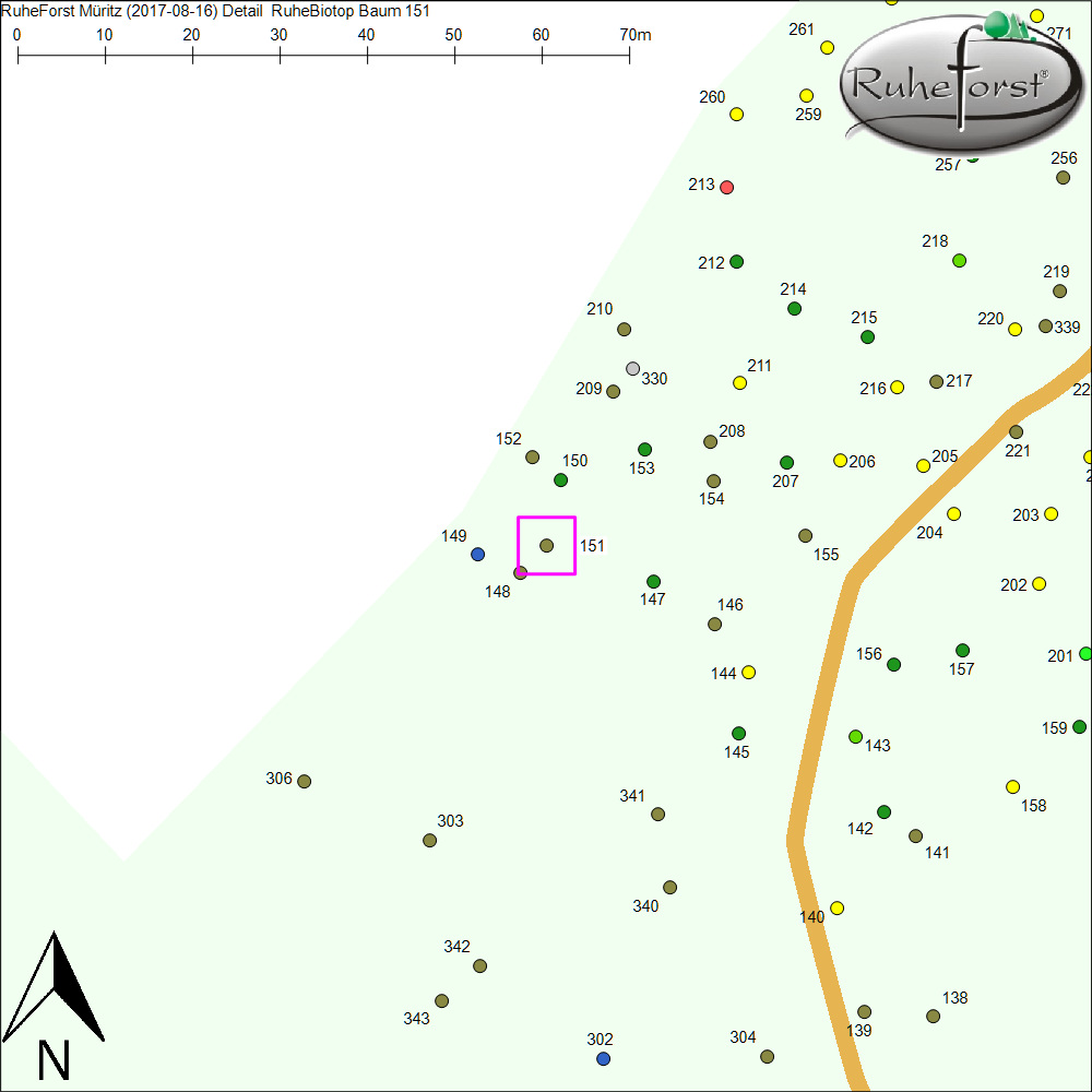 Detailkarte zu Baum 151