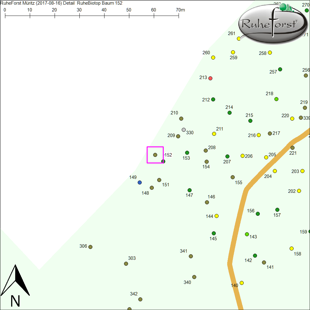 Detailkarte zu Baum 152
